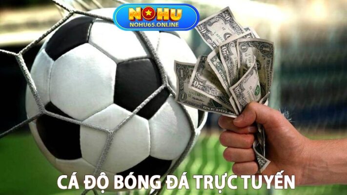 Cá độ bóng đá trực tuyến